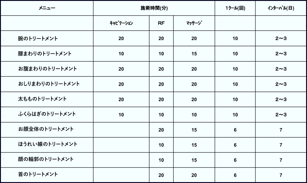 キャビエスト 株式会社レディーバード | 業務用美容機器・製造・販売・卸業