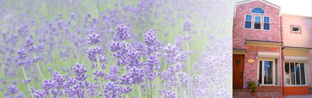 ホットストーン用玄武岩セット | ストーンセラピー用品 | マッサージ