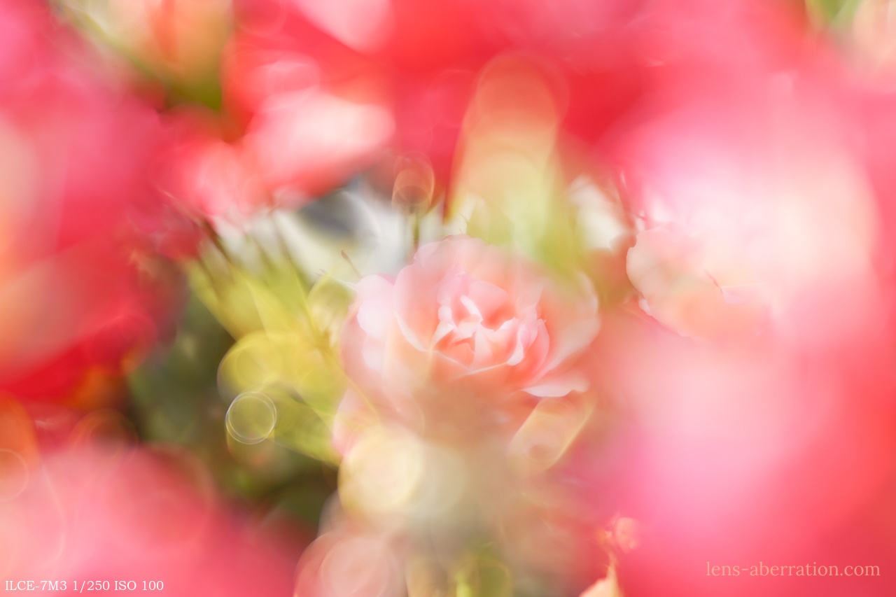 ソフトフォーカス】smc PENTAX-F SOFT 85mm F2.8 レビュー | 収差Love