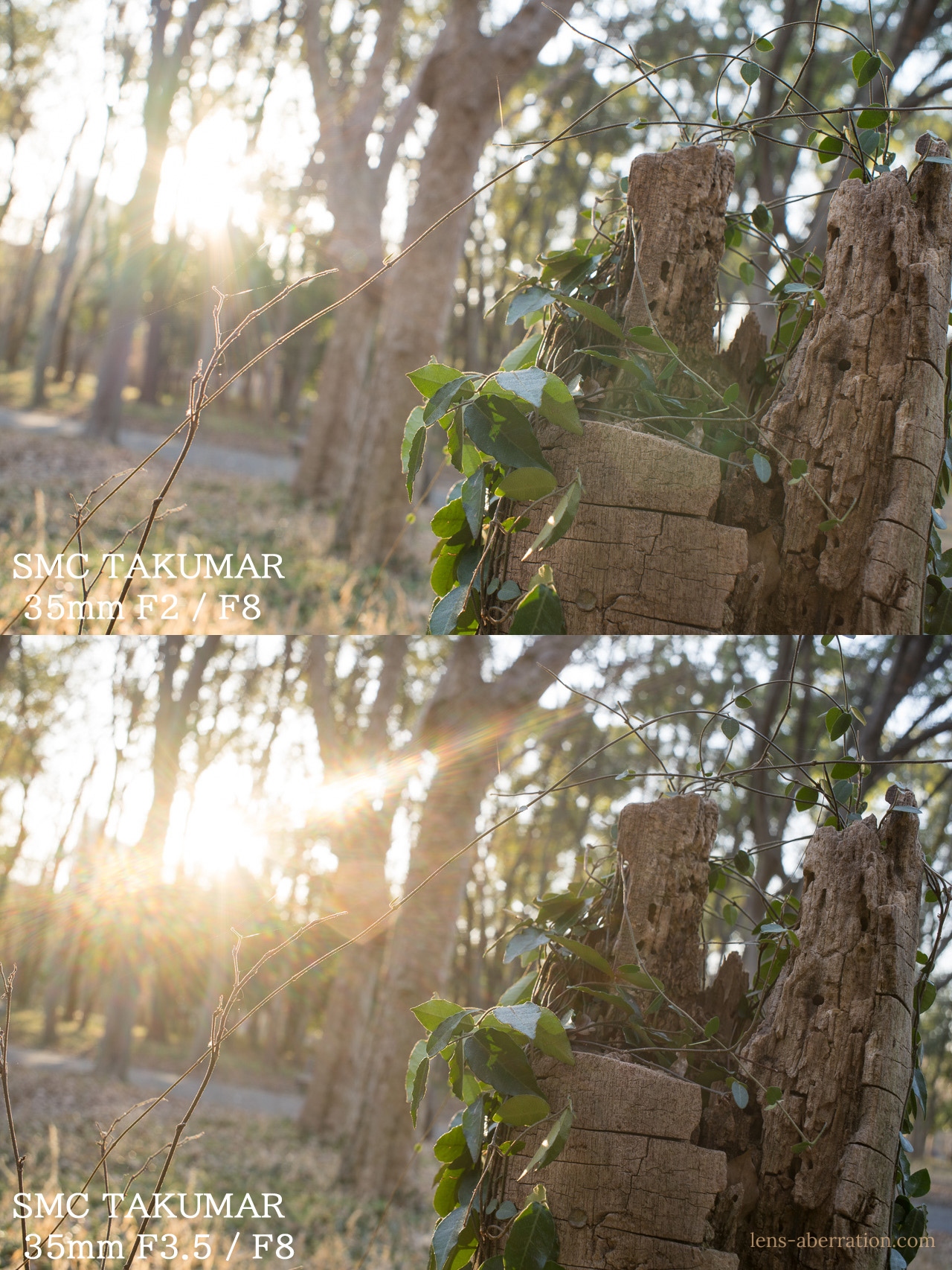 タクマー比較】SMC TAKUMAR 35mm F2 vs. F3.5 | 収差Love