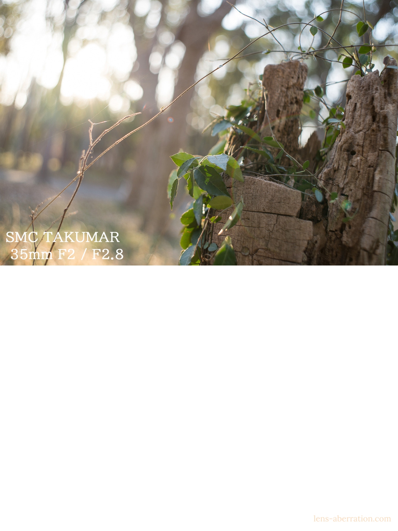 タクマー比較】SMC TAKUMAR 35mm F2 vs. F3.5 | 収差Love