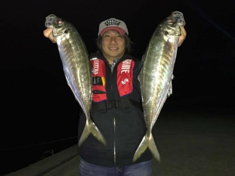 X-ARMATURA 毘沙 （びしゃ） - LEGAME