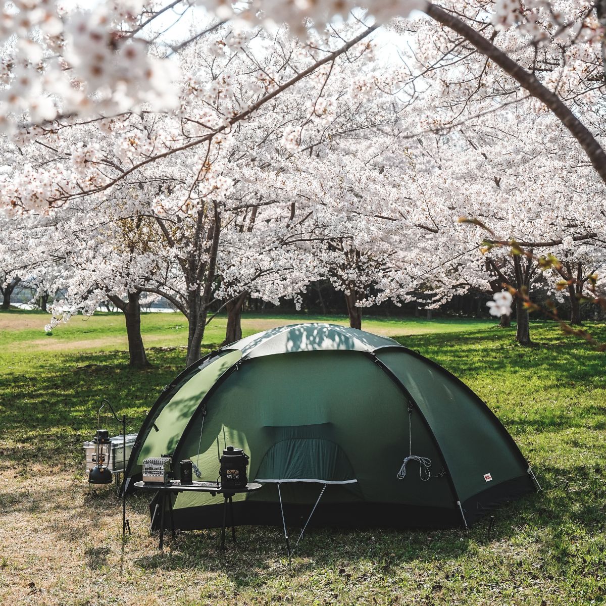 フェールラーベン テント完全ガイド】選び方から全モデル比較まで