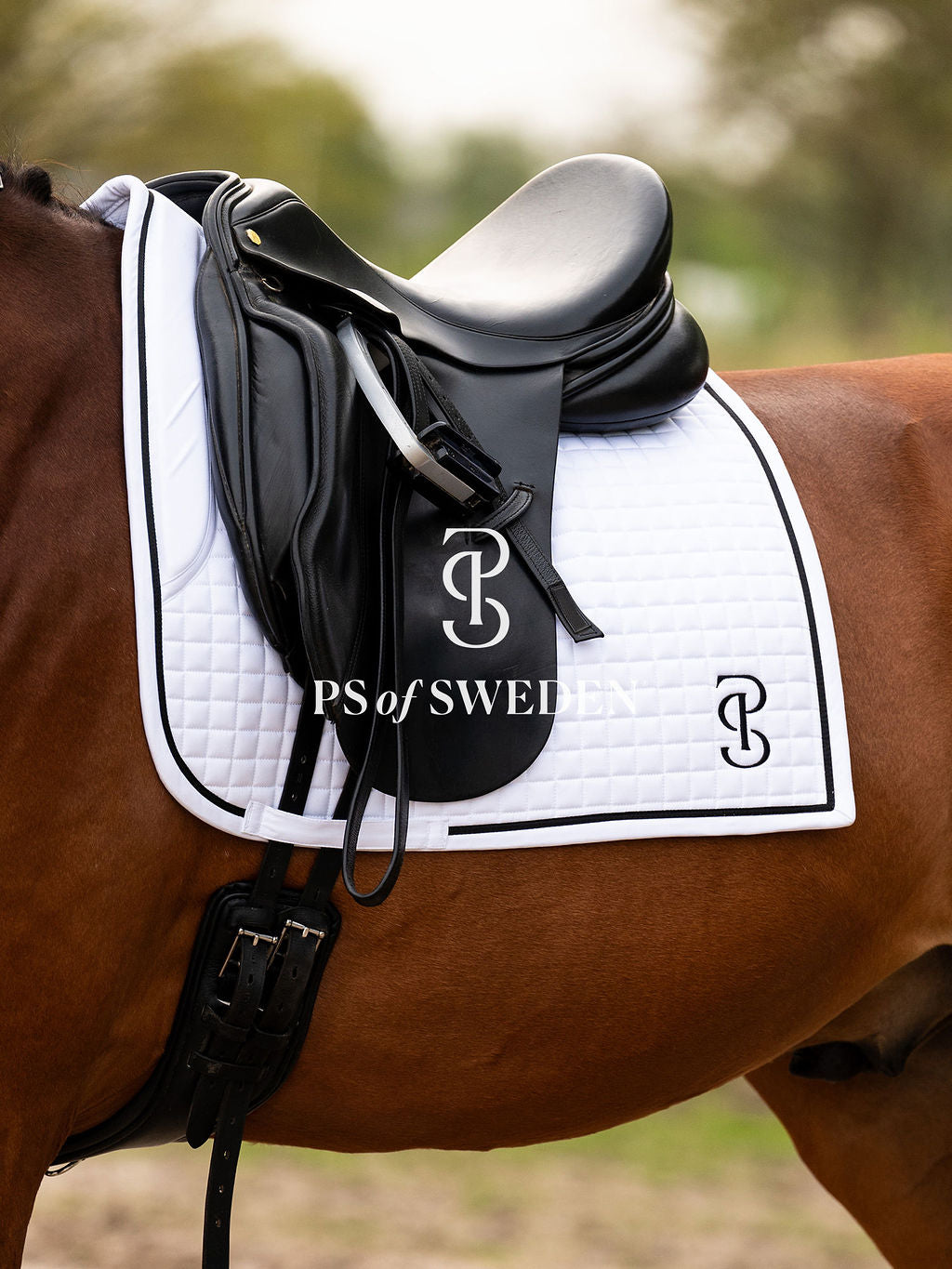滑り止め付き乗馬用ゼッケン 障害/馬場 アナトミカル構造 Ps of Sweden