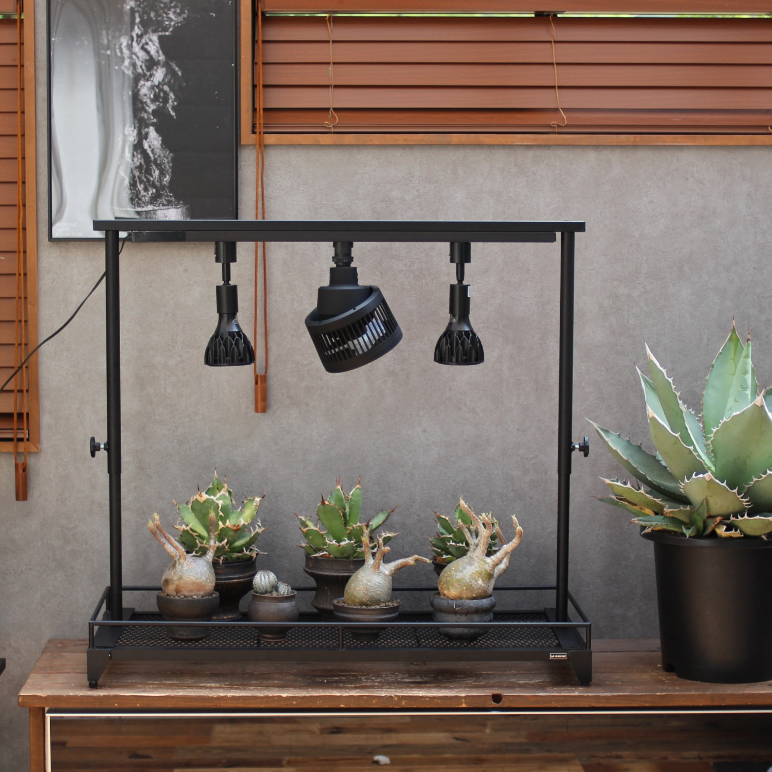 mini植物棚スターターセット