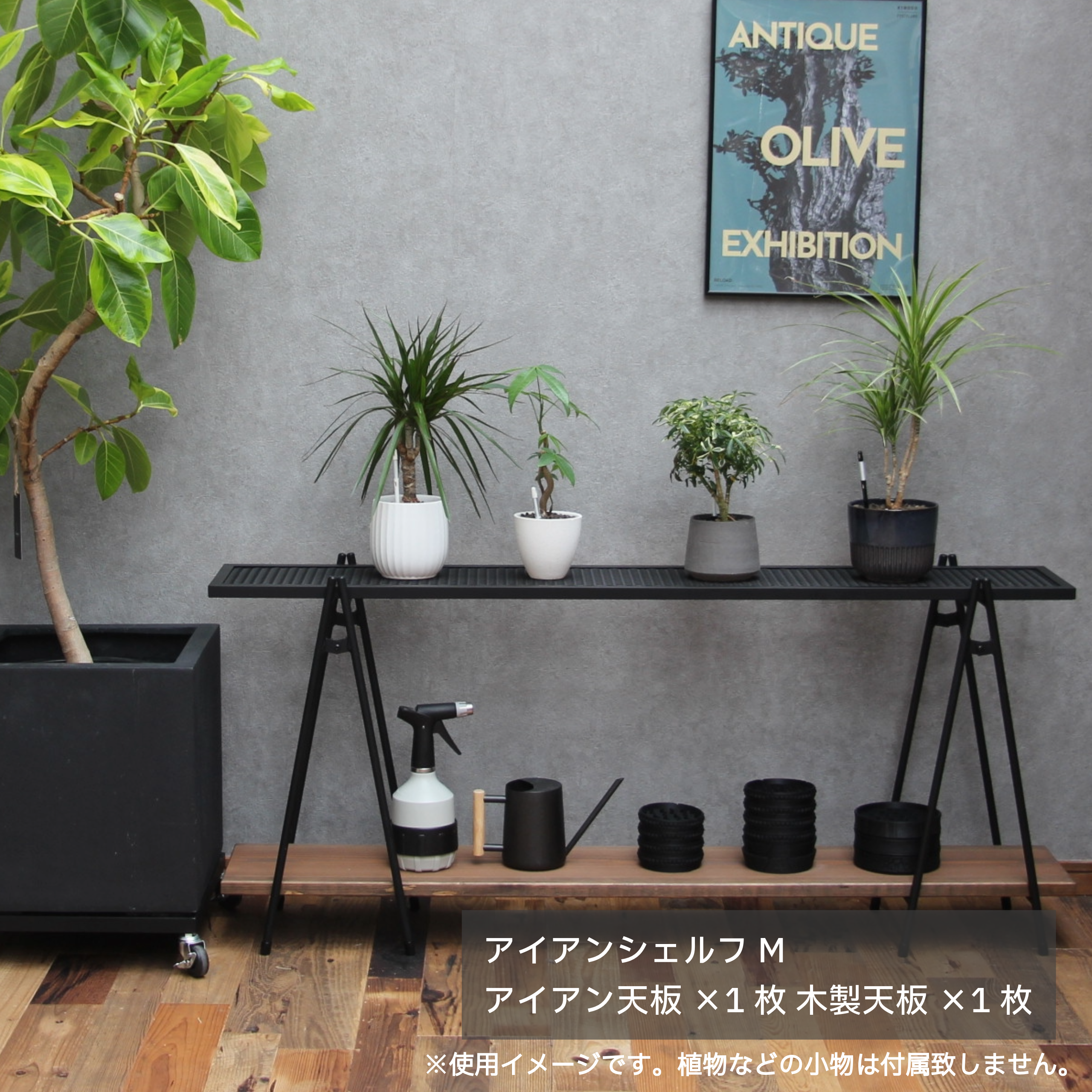 アイアンシェルフ