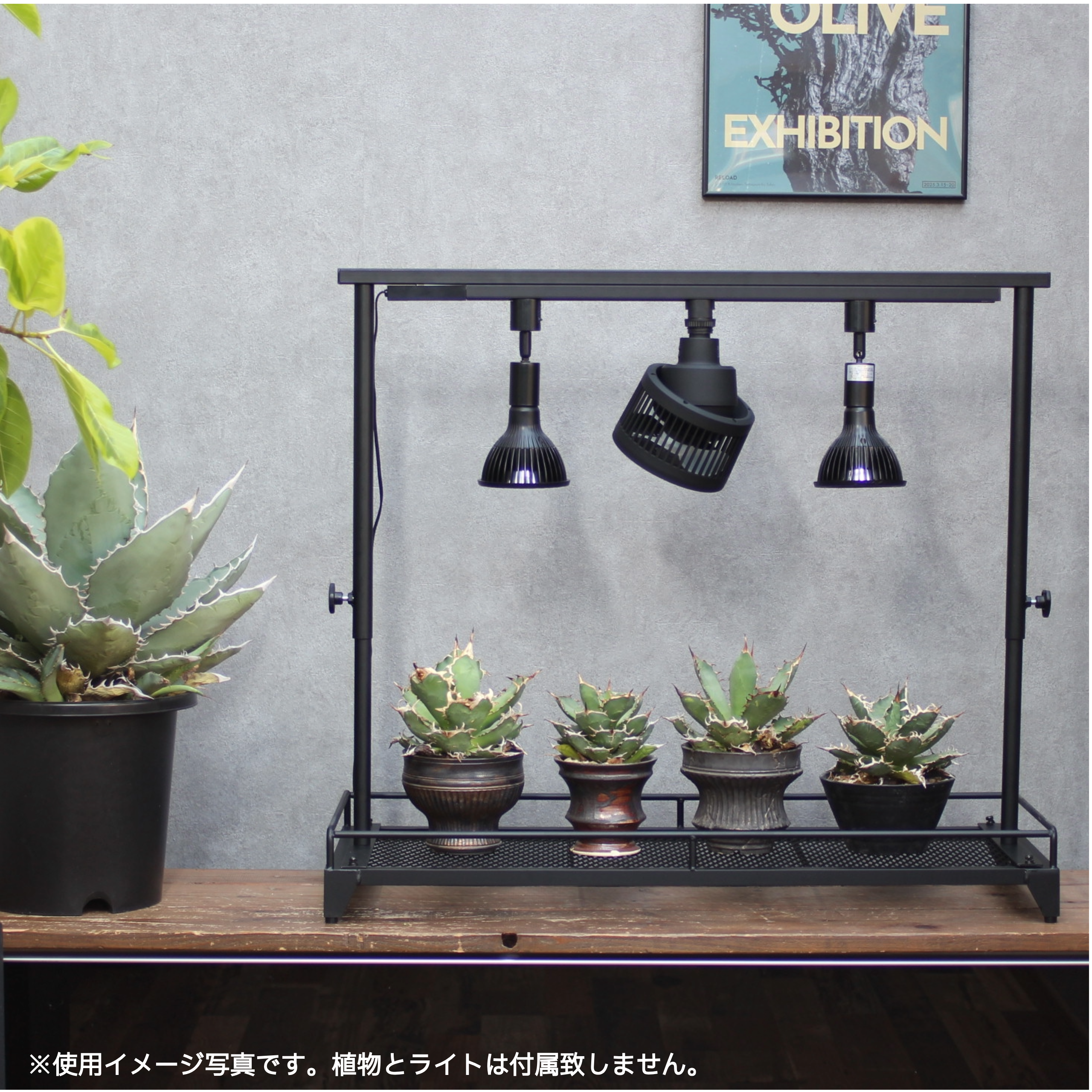 mini植物棚