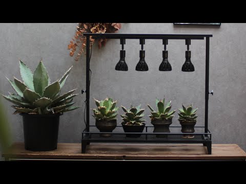 mini植物棚スターターセット