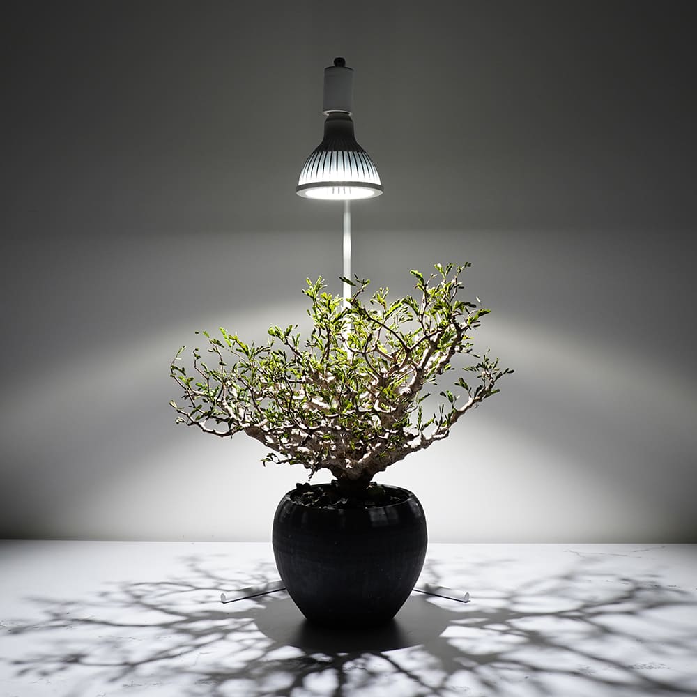 BARREL Plant Light – linkplants -リンクプランツ-