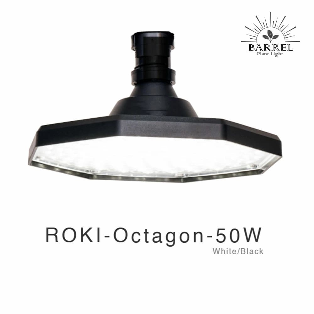 ROKI-Octagon-50W（ロキ オクタゴン 50W） – linkplants -リンクプランツ-