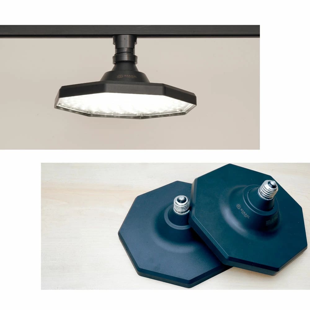 ROKI-Octagon-50W（ロキ オクタゴン 50W） – linkplants -リンクプランツ-