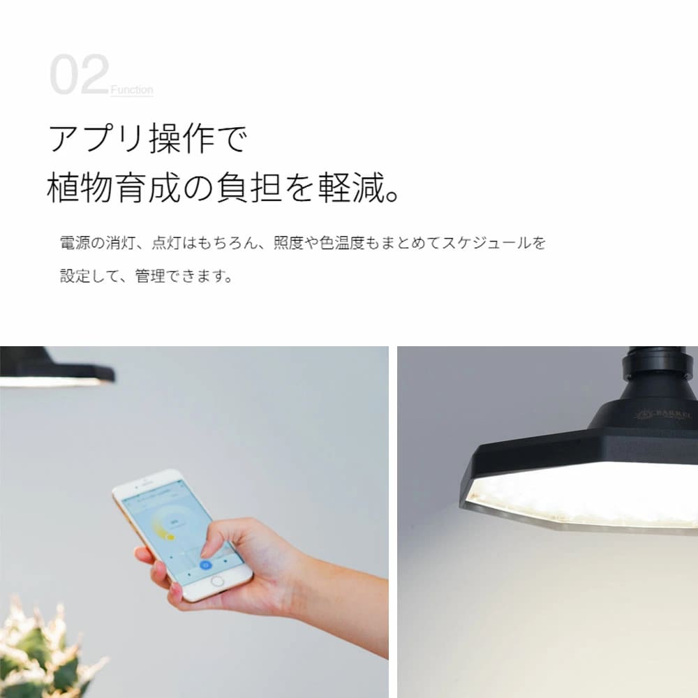 ROKI-Octagon-50W（ロキ オクタゴン 50W） – linkplants -リンクプランツ-