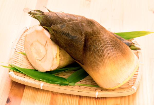 タケノコ（筍）｜とれたて大百科｜食や農を学ぶ｜JAグループ