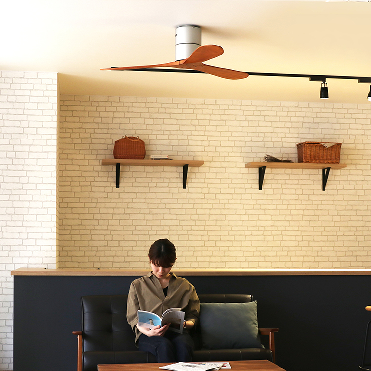 Modern Collection シーリングファン REAL wood blades JE-CF025