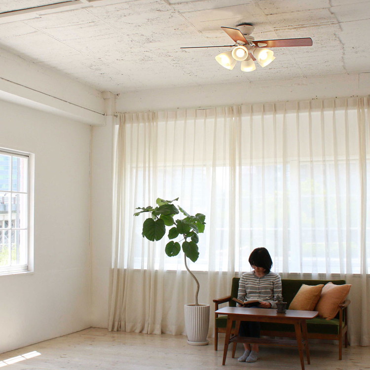 シーリングファン Windouble 6灯 BIG-102 | plusmore(プラスモア)