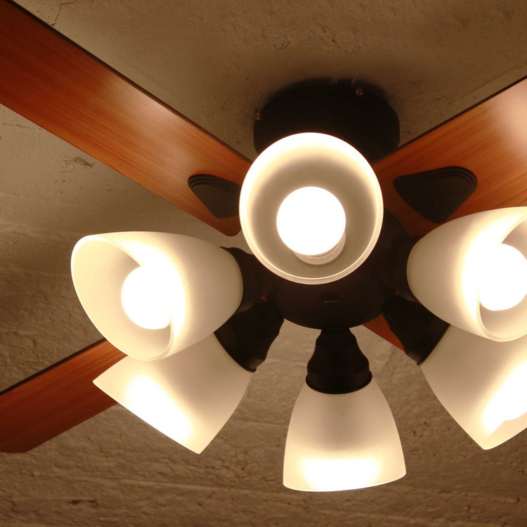 シーリングファン Windouble 6灯 BIG-102 | plusmore(プラスモア)