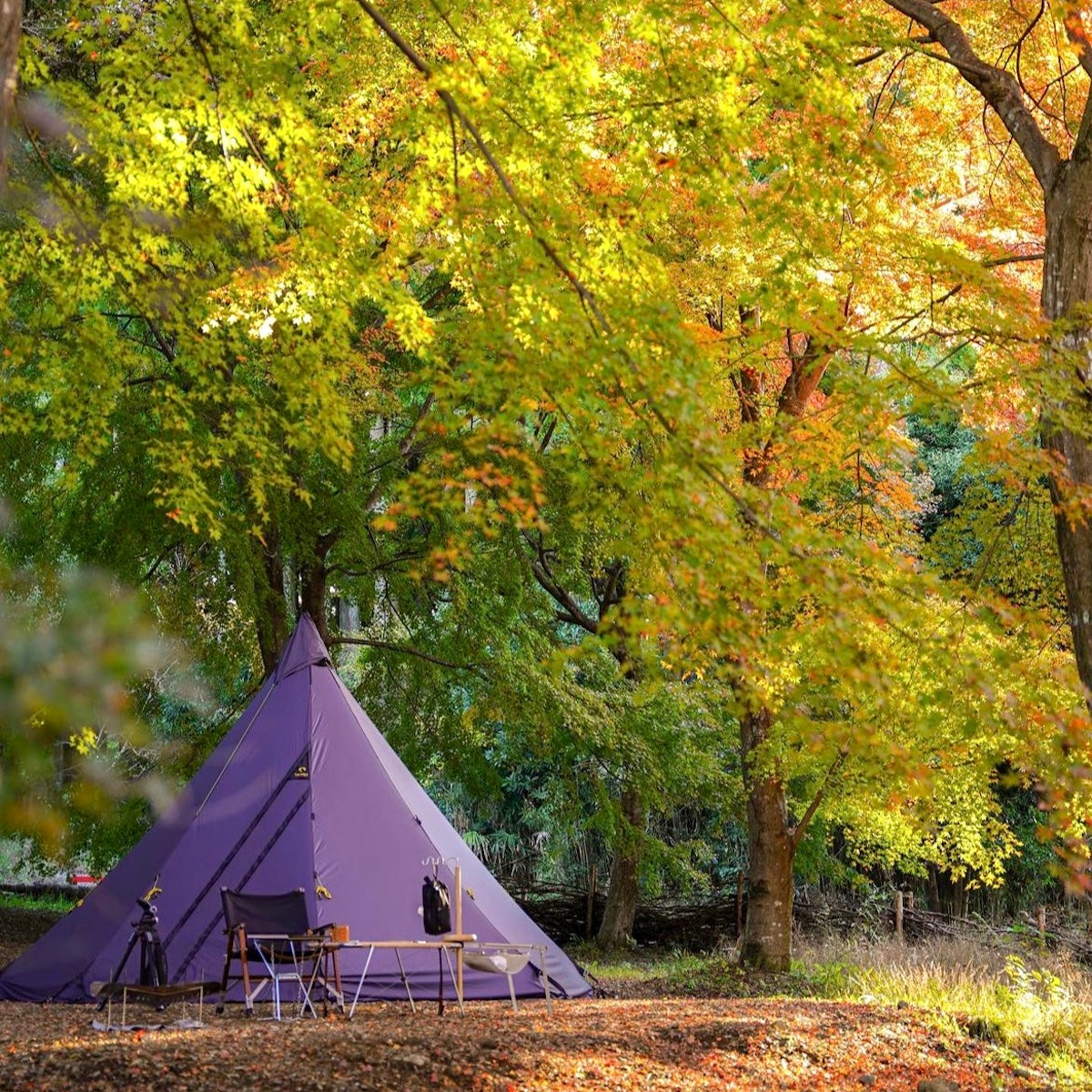 テンティピ オニキス 7LIGHT – LOG