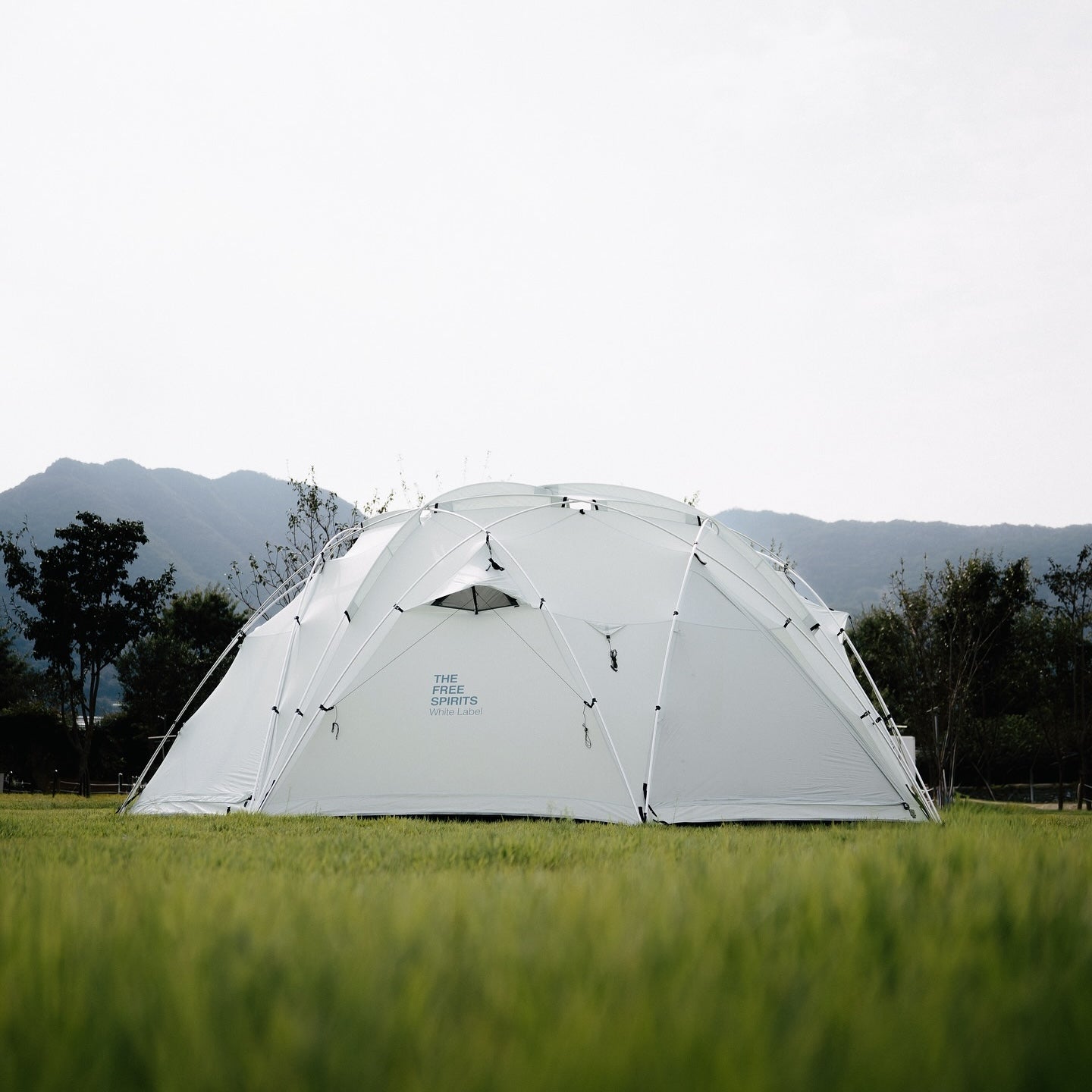 THE FREE SPIRITS – LOG