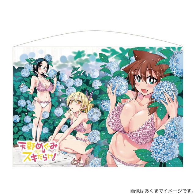 天野めぐみはスキだらけ！ タペストリー : サンデープレミアムショップ