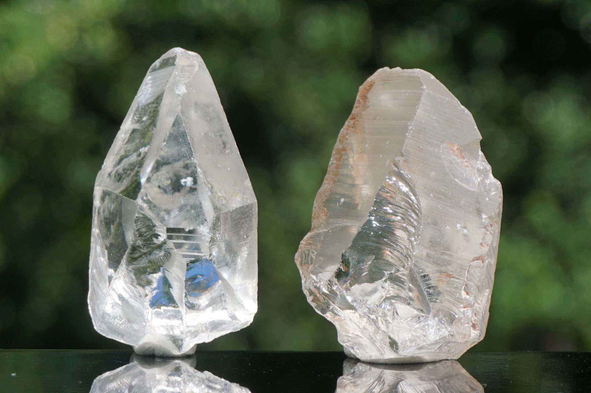 ロシアンレムリアン デイビッドガイガー ロシアンレムリアン正規品