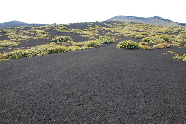 大島公園から三原山頂まで ハイキング。雄大な景色が広がる 「伊豆大島