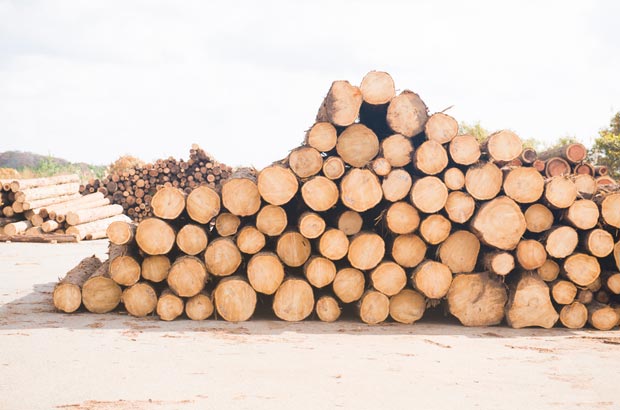 noshu〉 能登ヒバを使った、 オリジナル家具 - 「colocal コロカル