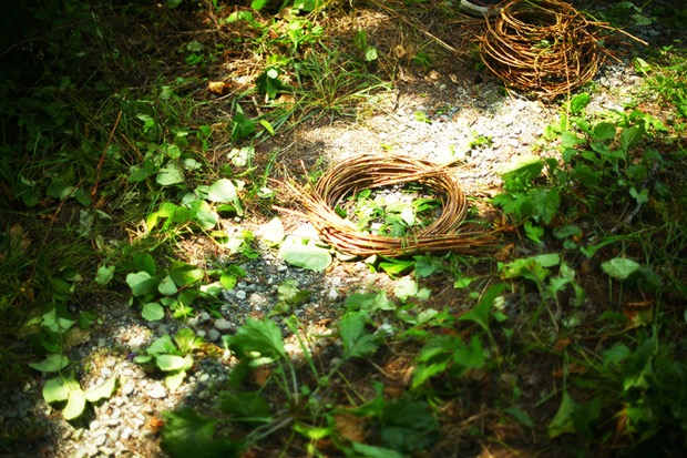 アケビ蔓（つる）の採集講座〉 開催！ 里山再生事業から 山の使い方を