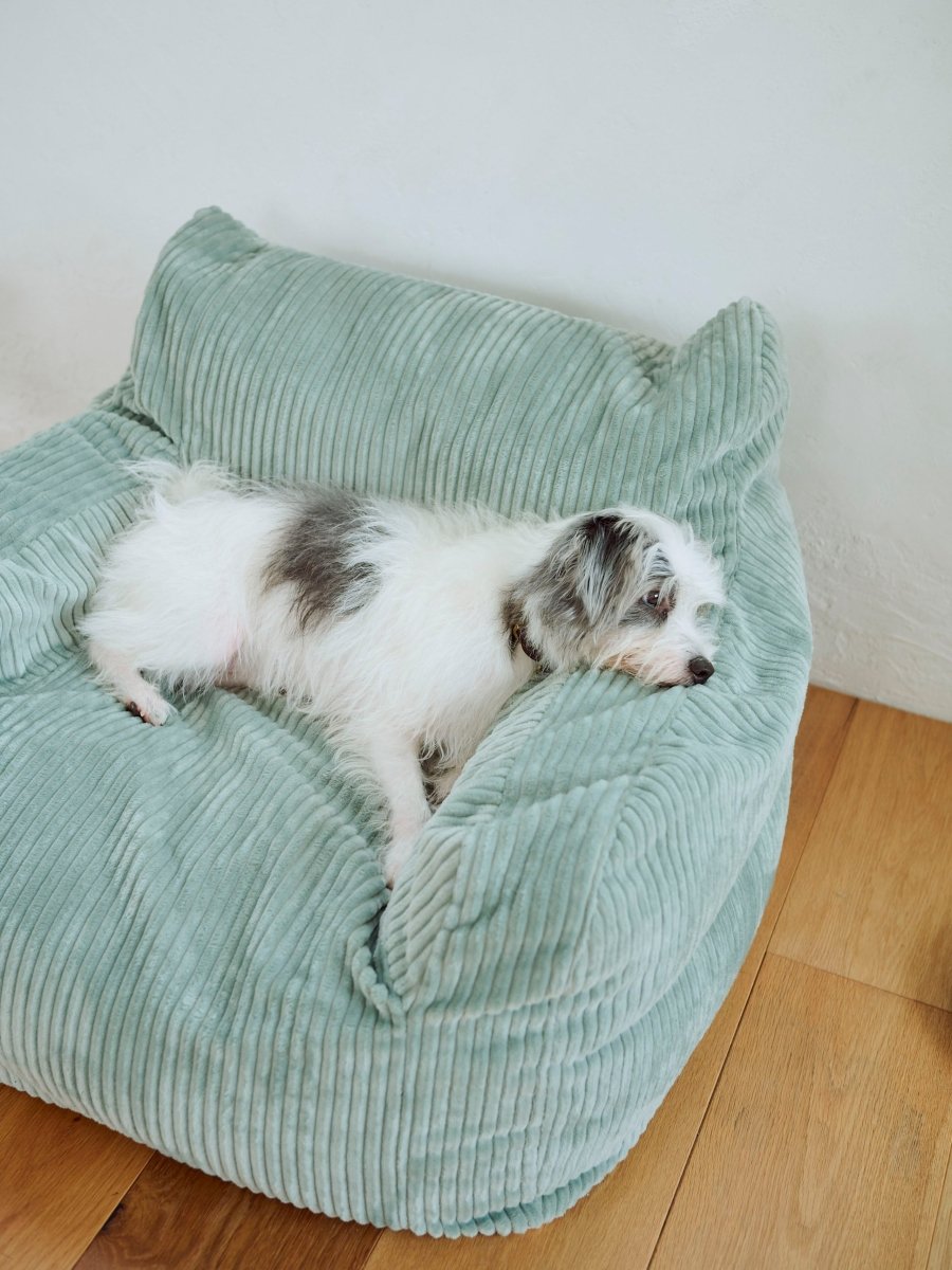 LOOSY 1人掛けビーズソファ ミニ Mint｜1人用ソファ おしゃれ