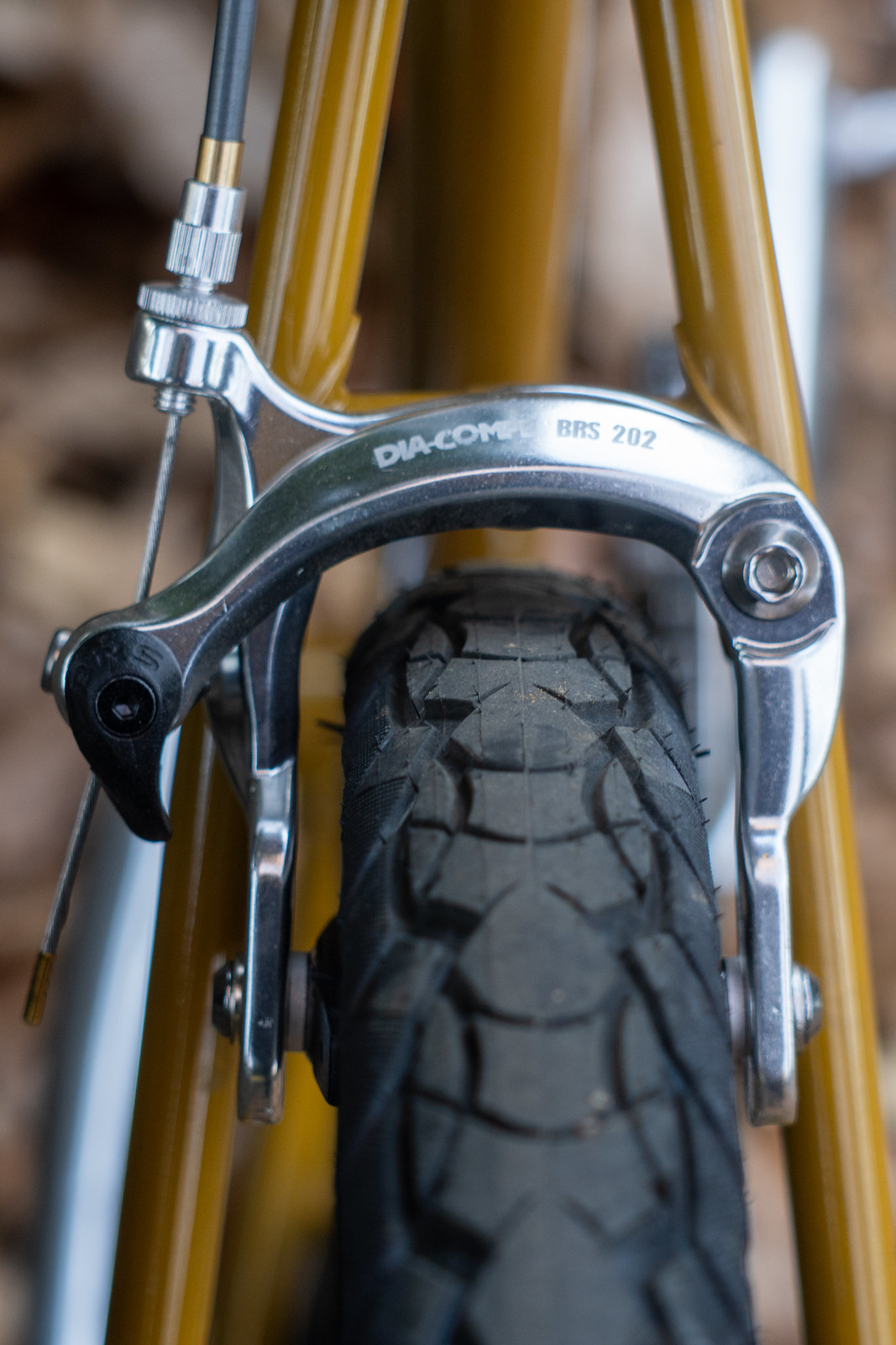 BRUCE GORDON* rock n' road 700×43c tire (black/gumwall) - BLUE LUG