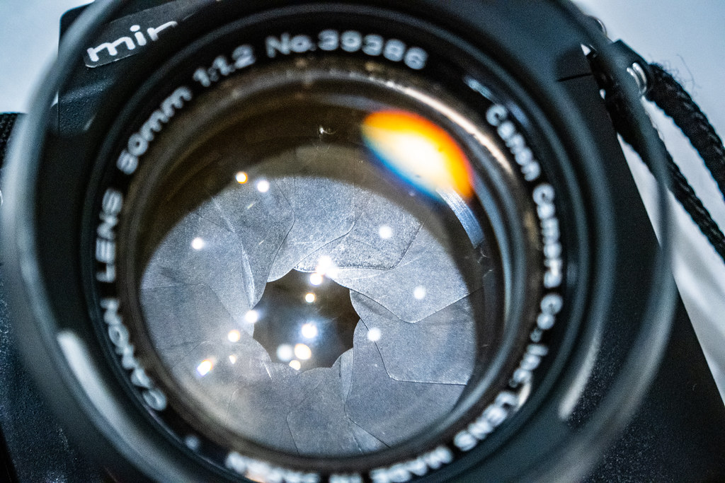 マウントアダプターあそび！Canon 50mm F1.2 L39【作例集