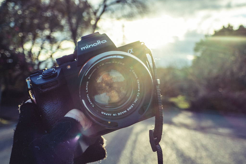 マウントアダプターあそび！Canon 50mm F1.2 L39【作例集