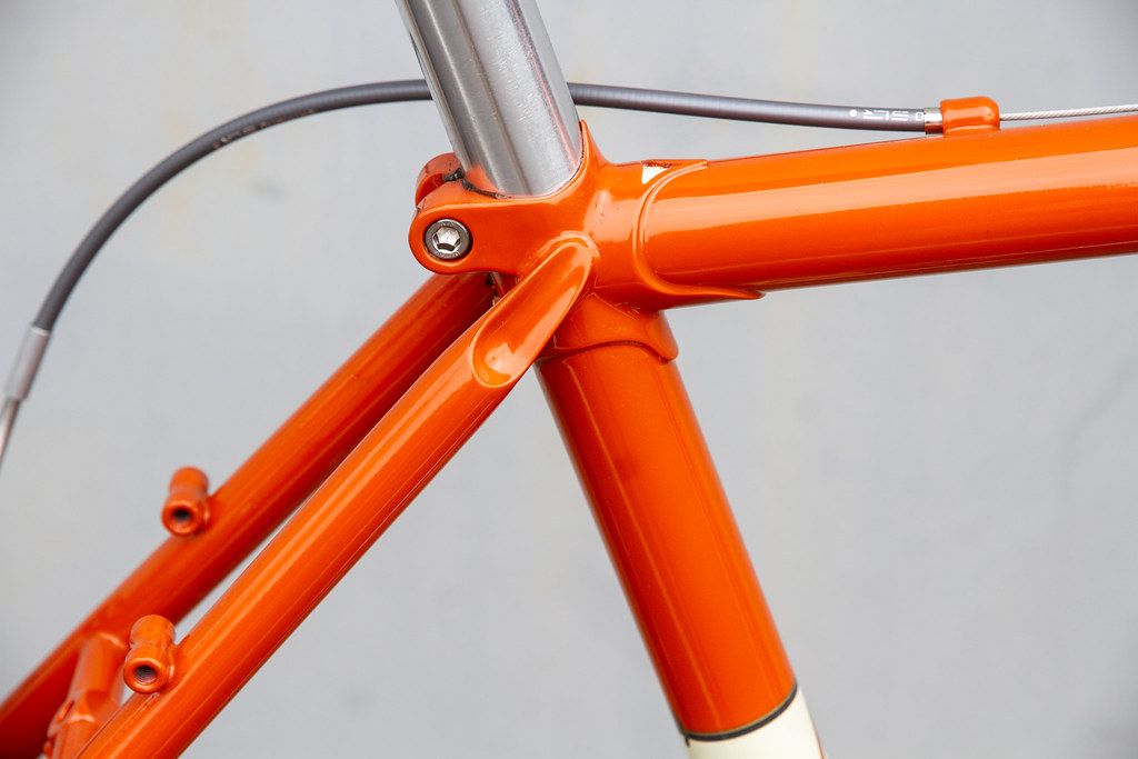 RIVENDELL* joe appaloosa / BUILT BY BLUE LUG - CUSTOMER'S BIKE