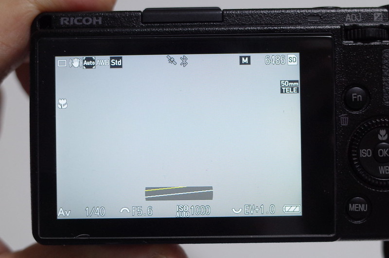 やはりAFで撮影出来る望遠域のネコカメラが必要なのでは？とRicoh