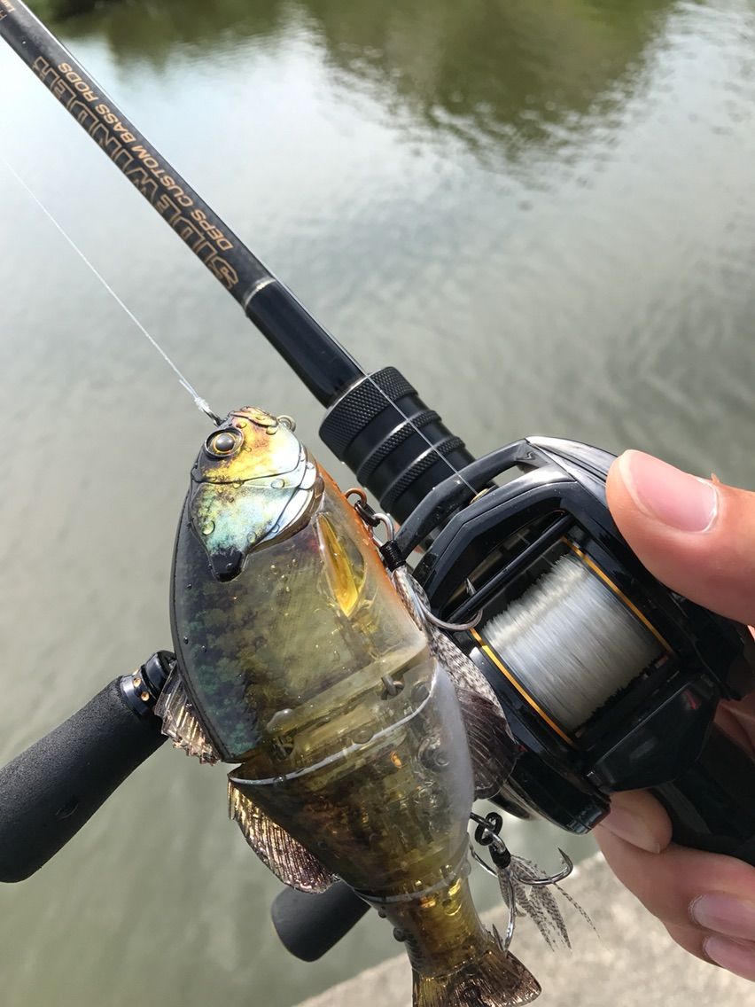 SIDEWINDER GP The OUT CROSS : 琵琶湖まで徒歩五分