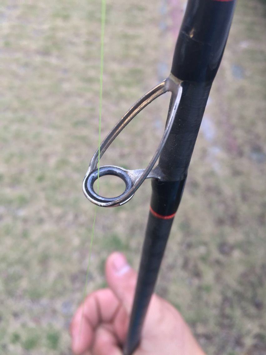 セフィアCI4 S806MH(エギングロッド) : 本日も陸っぱり(？)から。