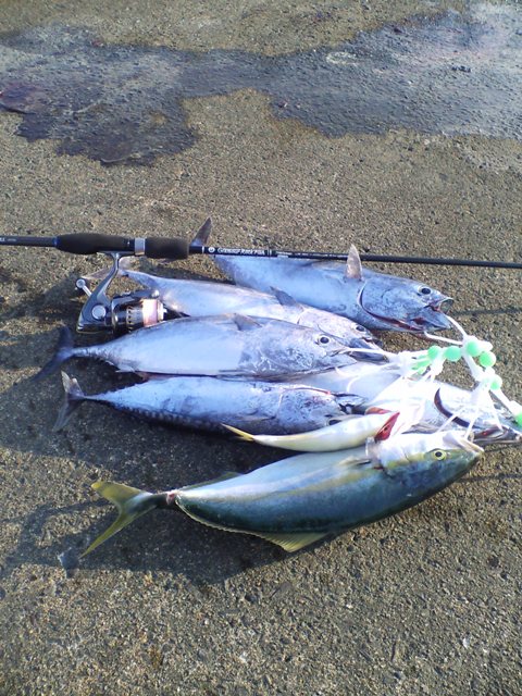 マイロッド・NO1 ブリーデン GRF TR83Deep編 : Twitching In The