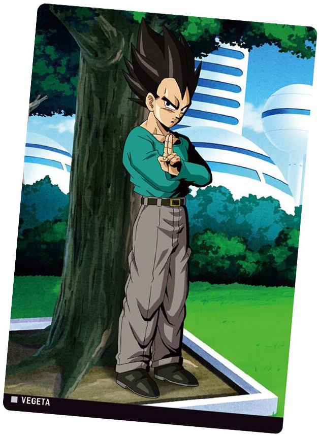 イタジャガ ドラゴンボール vol.8 全30種 カード画像【シークレット