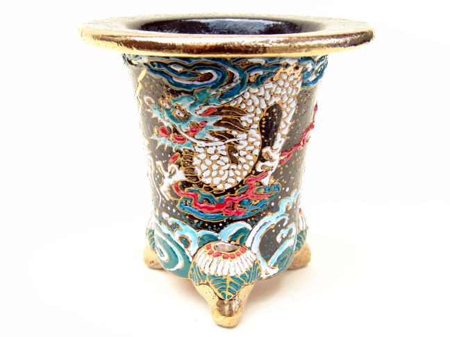 万年青鉢 龍山 – おもとの豊明園（ほうめいえん）