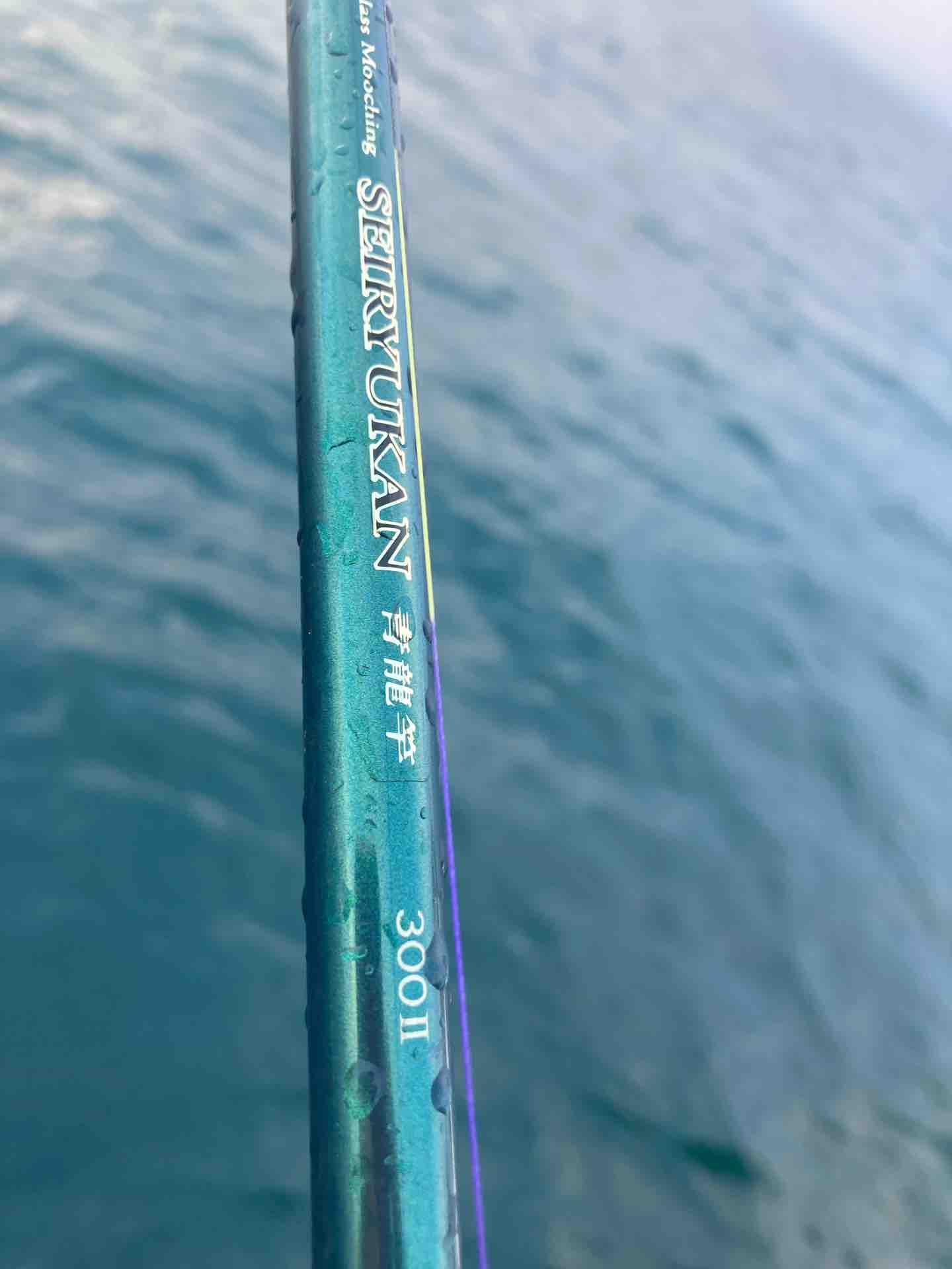 恒例の直江津港八坂丸さん乗っ込みマダイ | 宮澤幸則