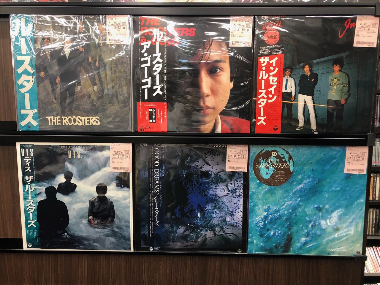 11/1(火)【中古レコード】ルースターズの過去作がまとめて入荷