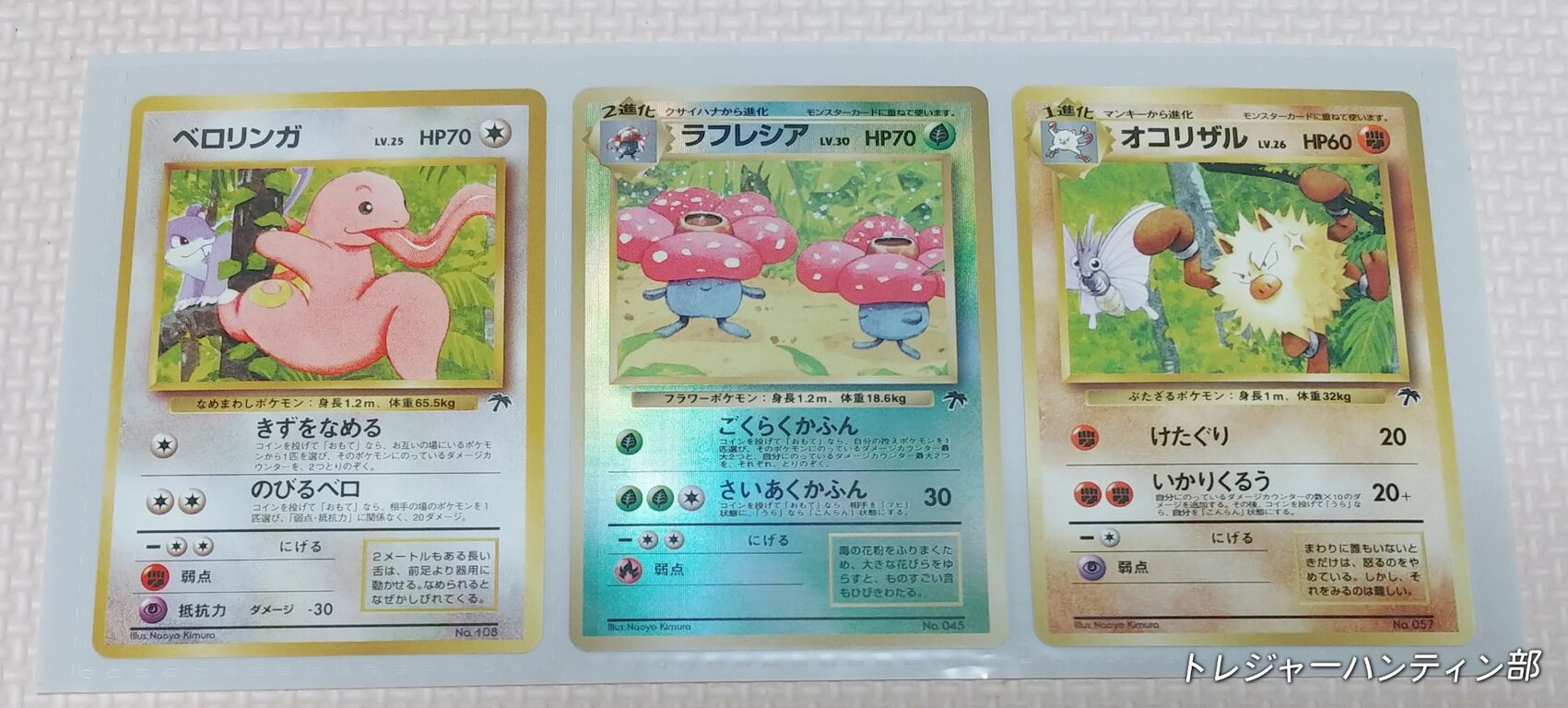 1998年 ポケットモンスター カードゲーム サザンアイランド トロピカル