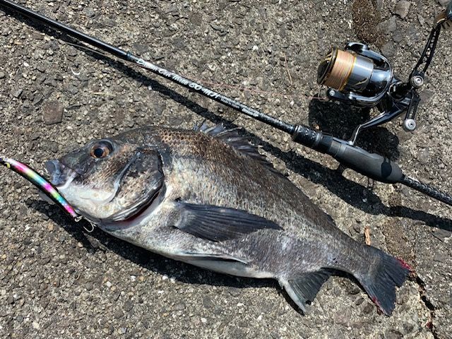 ドリームコンスリー80MH : dreemup