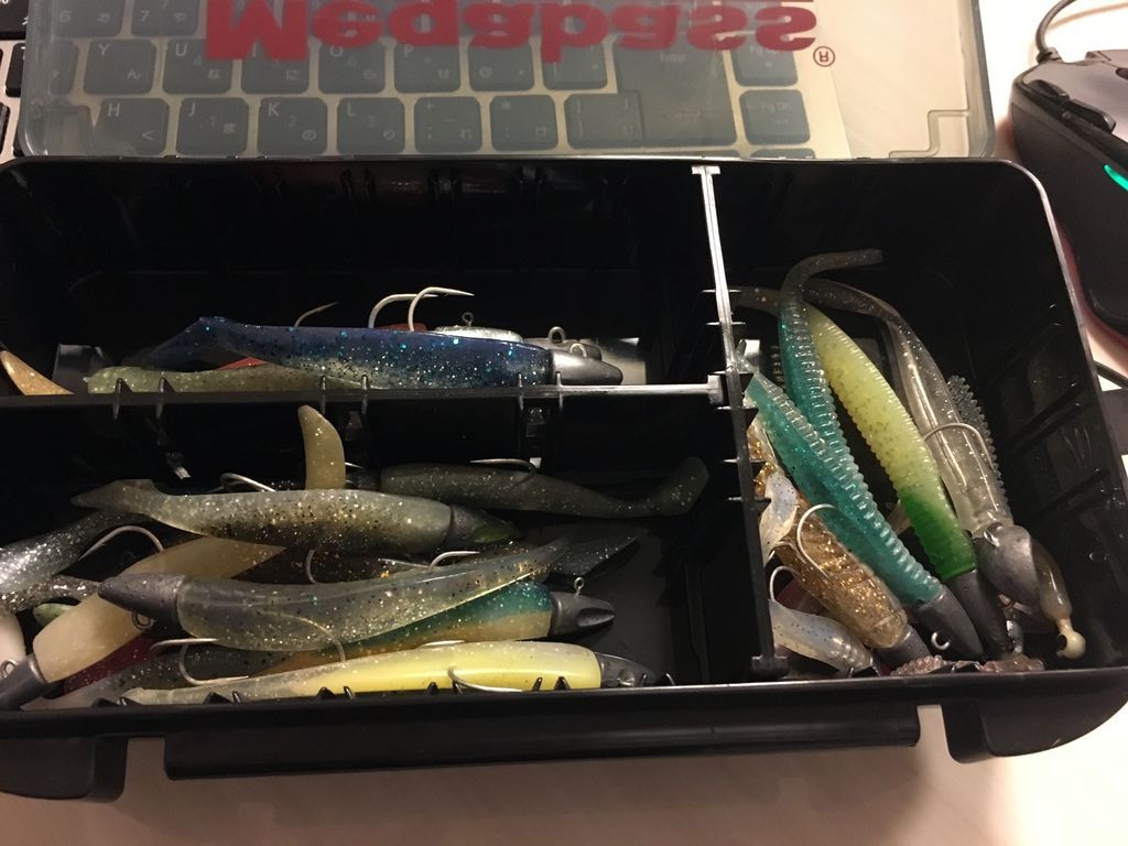 コアマン アルカリシャッド デカカリシャッド : Angler's High！錦江湾