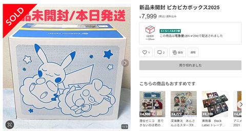 ピカピカボックス2026 ピカピカボックス 2026 新品未開封 ｜公式