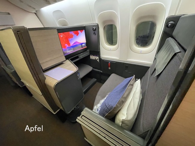 ANA 全日空 国際線 ビジネスクラス 羽毛布団 ブランケット 車中泊 災害