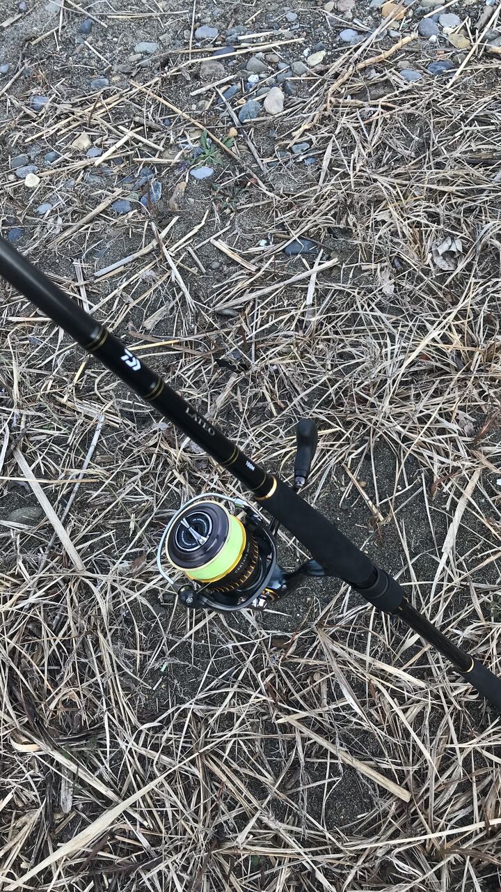 ダイワ【ラテオR100M】 : 特攻隊長さんの釣行記