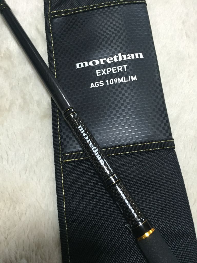 モアザン・エキスパートAGS109ML/Mを簡単にインプレ : 特攻隊長さんの