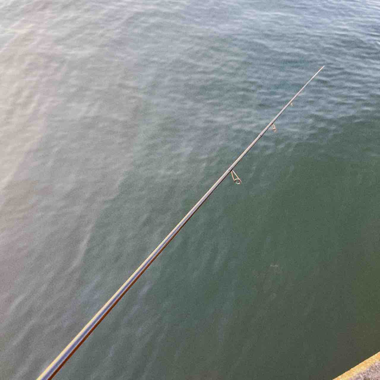 コアマン デイスターCDS-96ML-CS インプレッション : シーバス&ライト