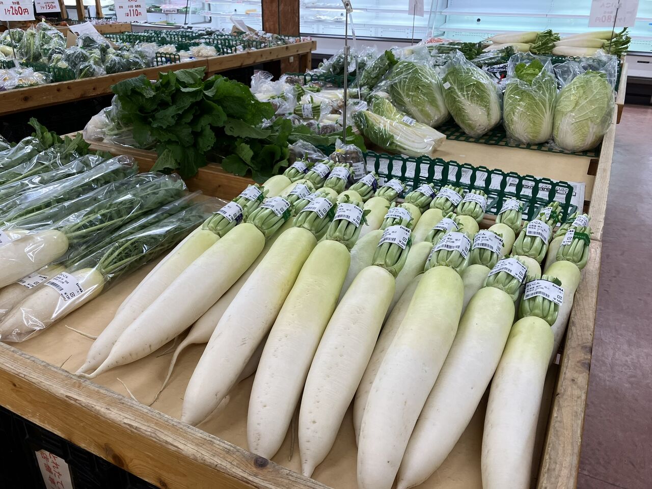 ダイコン初出荷 大根洗い機で手間取った : 向島ポンポコ日記