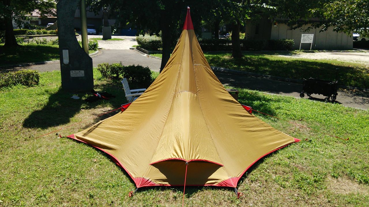 MOSS SUPERFLY Ⅳ : Simple life of KUNI-PAPA